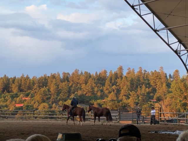 People and horses with fall foliage in background