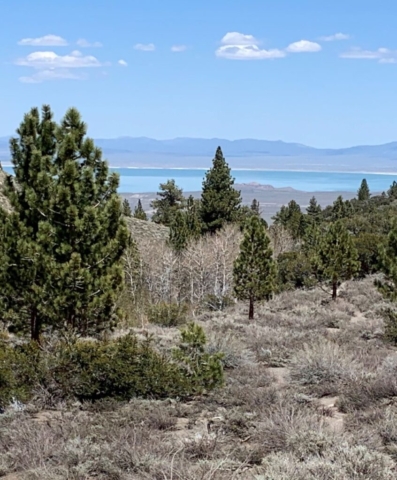 View of Lake Moro, northern California