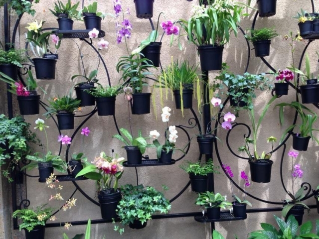 A display of many potted plants against a wall