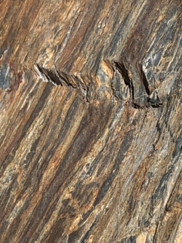 Closeup of marble texture on rock